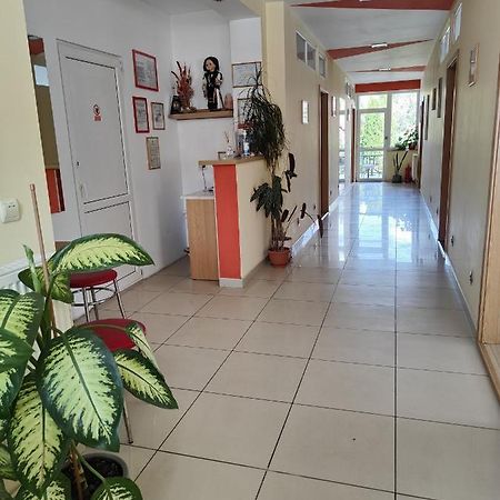 Pensiunea Eli Hermannstadt Exterior foto